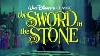 DisneySword and the Stone 1963 Original Production Cel Key Set Up on OBG-Wart